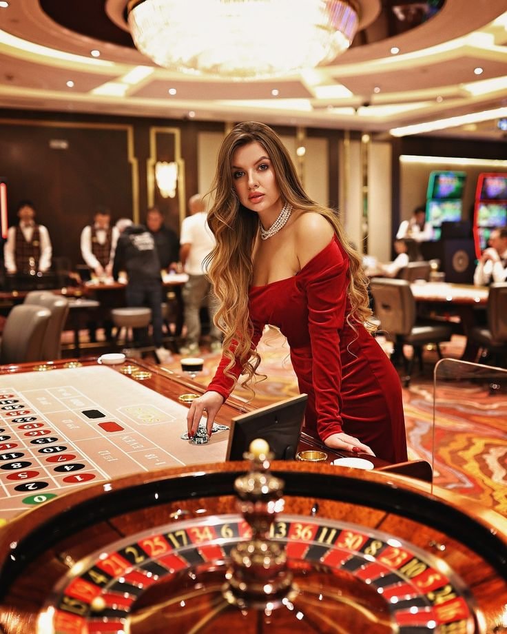 Togel 2D result history and account dashboard on mobile